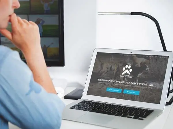 Pet Sitter Website
