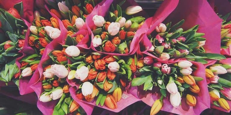 Flower Bouquets Flower Bouquets