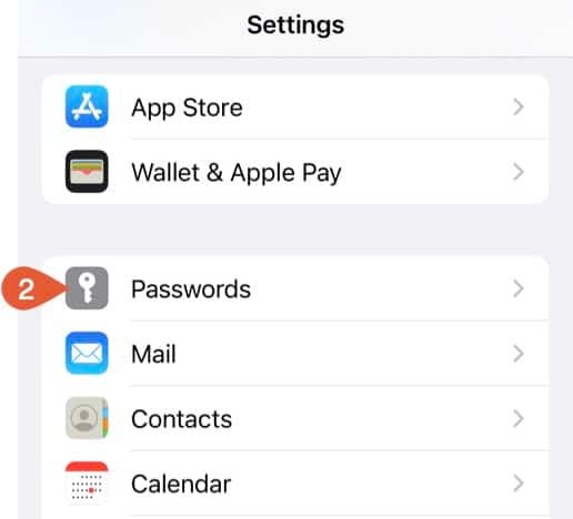 iOS Passwords