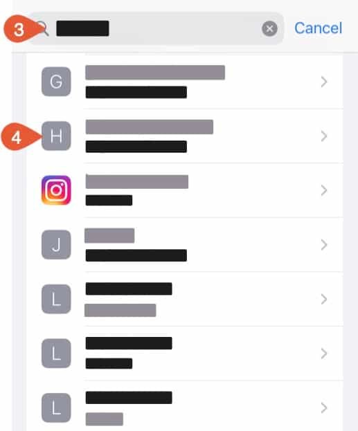 iOS passwords search and list.