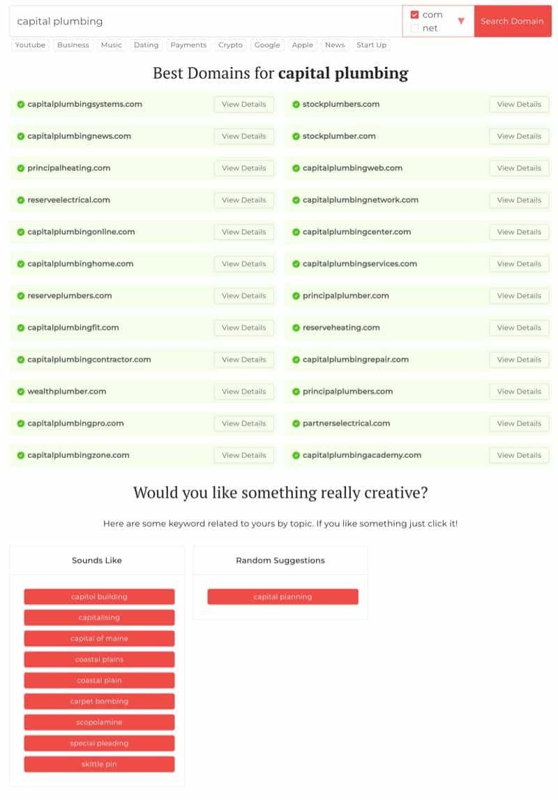 Domain Wheel Capital Plumbing Domain Search