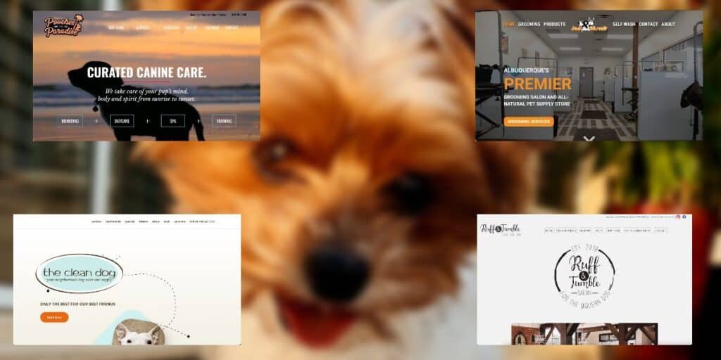 The Best Pet Groomer Websites