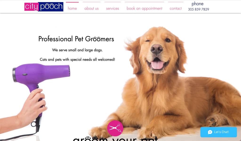 City Pooch - Miami, FL