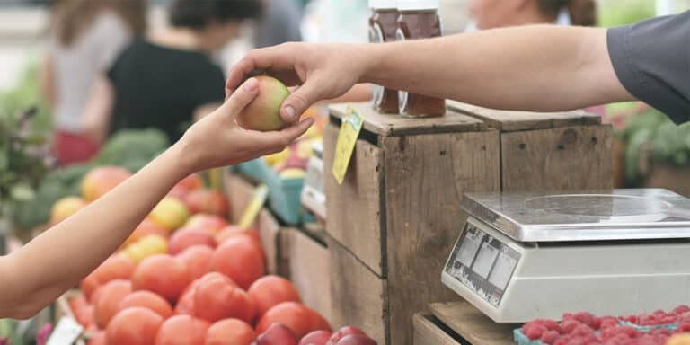 Farmers market local small business. Farmers market local small business.
