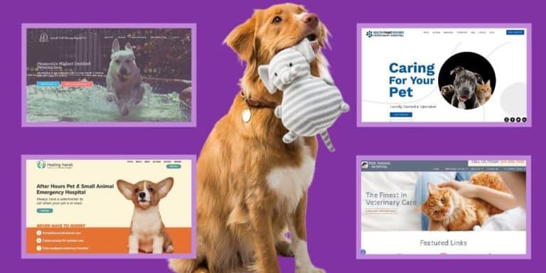 The Best Veterinarian Websites On The Internet The Best Veterinarian Websites On The Internet
