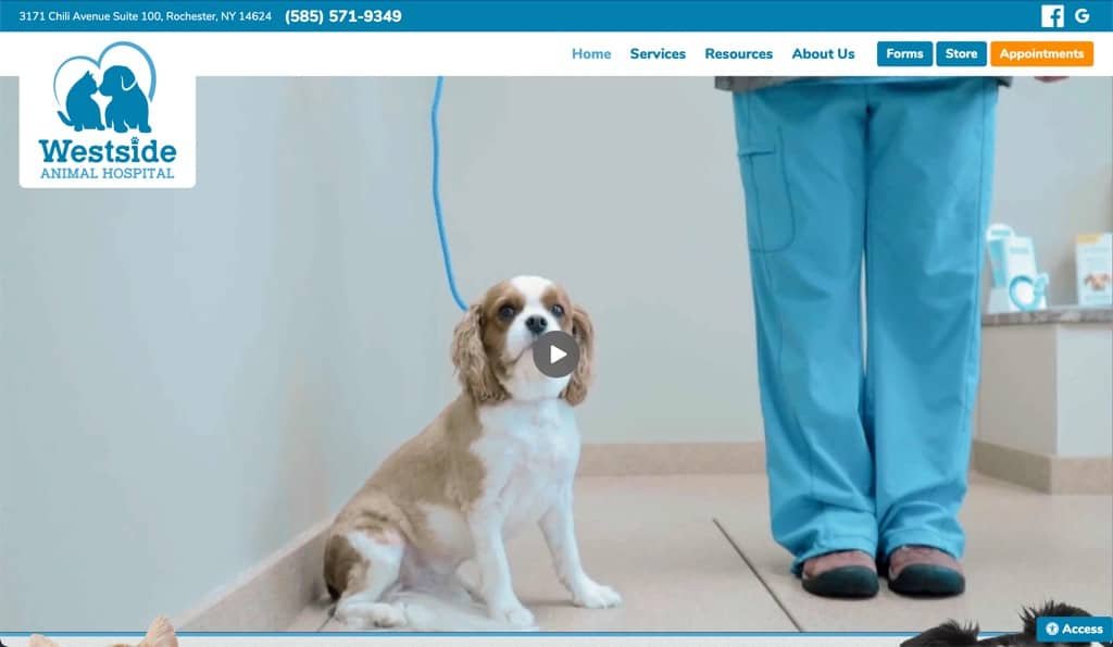 Westside Animal Hospital - Rochester, NY